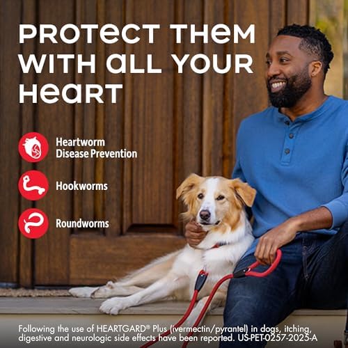 HEARTGARD® Plus (ivermectin/pyrantel) Real-Beef Chewables for Dogs 51-100 lbs (Brown Box) 6 Month Supply of Chews (Heartworm Disease Preventive)