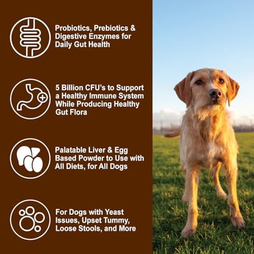 Dogzymes Probiotic Daily Balance - Supplies Nutritional Support and Live microorganisms for intestinal Well-Being as Well as enzymes for Proper Digestion. (8 Ounce)