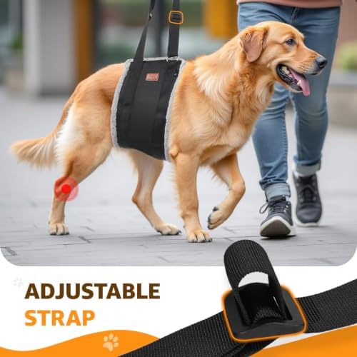 Adjustable Dog Sling for Large Dogs Hind Leg Support Weak Legs Mobility Aid