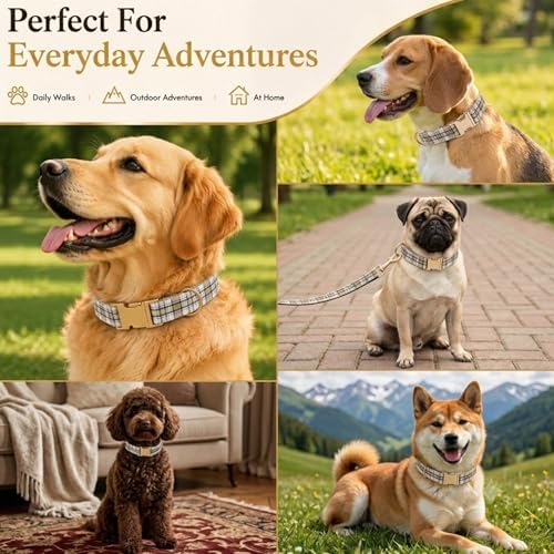 Soft Cotton Dog Collar Classic Plaid Pet Collars with Metal Clasp for Small Dogs with Sensitive Skin, Creamy Countryside