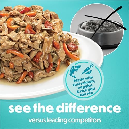Beneful Purina IncrediBites Small Wet Dog Food in Gravy, Salmon, (12) 3 oz