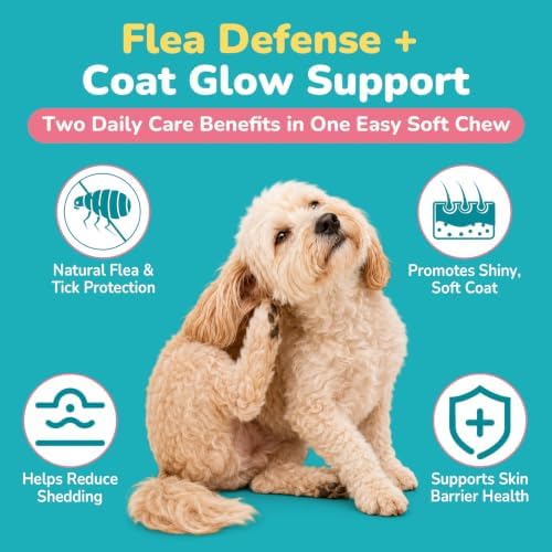 Woyamay Flea and Tick Prevention for Dogs, Soft Chews, Chicken Flavor