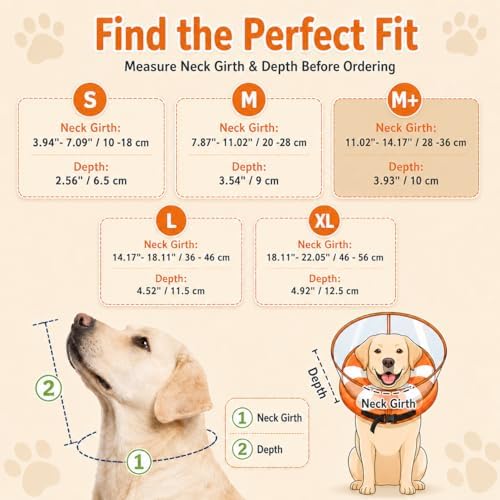 Avont 2-in-1 Dog Cone M+ Swimring Shield