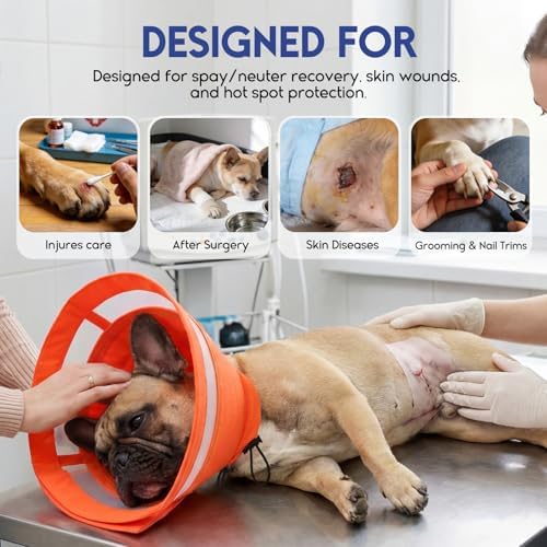 ASENKU Dog Cone Collar, Protective Recovery Dog Collar After Surgery, Comfy Adjustable Cone for Dogs to Stop Licking, Pet E-Collar for Small, Medium & Large Dogs(Orange, M)