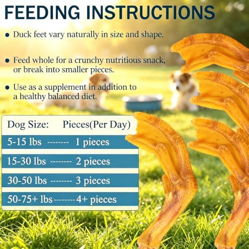 Duck Feet for Dogs, 12 Count Dog Chews Joint & Dental Health Supplement