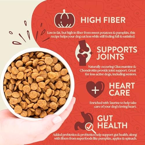 Earthborn Holistic Weight Control Chicken Grain-Free Dry Dog Food 25 lb