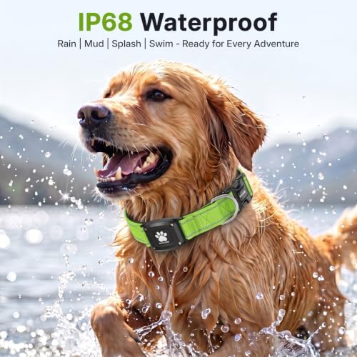 GPS Dog Collar with Tracker, Waterproof, No Monthly Fee, Green, S | Works with Apple Find My, iOS Only, MFi Certified, No SIM Card, for Small Dogs, Reflective Padded Nylon, Neck 12.5-16 in