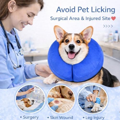 Inflatable Dog Cone Collar Alternative – Soft Recovery Donut E-Collar for Small, Medium, and Large Dogs & Cats After Surgery (Blue, M [13"-18"])