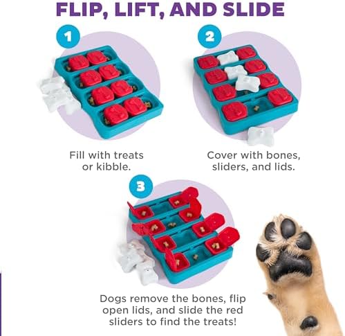 Outward Hound by Nina Ottosson Dog Brick – Interactive Treat Puzzle Enrichment Toy, Level 2 Intermediate, 1 Count (Pack of 12)