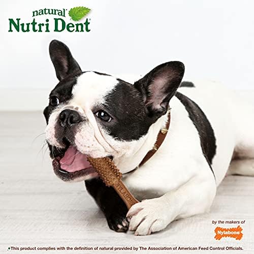 Nylabone Nutri Dent Dog Dental Treats, Filet Mignon Flavor, 40 Count