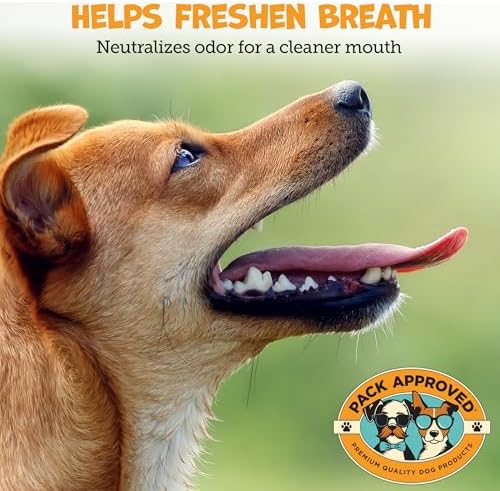 Pack Approved Dental Wipes for Dogs - Dog Teeth Wipes for Oral Care - 100ct