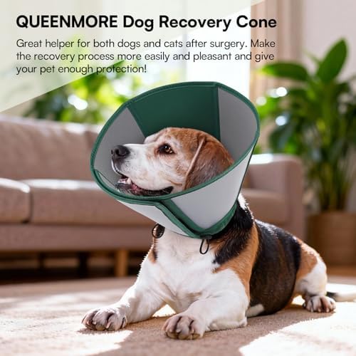 Queenmore Large Dog Cone, Dog Cones for Large Dogs, Comfy Cone Collar Alternative After Surgery, Comfortable Recovery E-Collar for Pets to Stop Licking Wound Healing (Dark Green,XL)