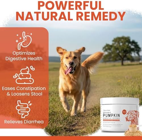 Organic Pumpkin Powder for Dogs, 4 oz w/ 5 cc Scoop for Digestive Support