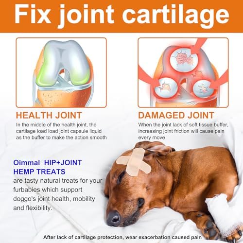Hip and Joint Supplement for Dogs,Hip & Joint Pain Relief Pills - Large & Small Breed - Hip Joint Chews Canine Joint Health,Mobility & Flexibility Support -Duck Flavor 60 Count
