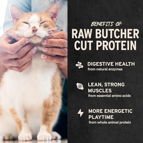 Vital Essentials Freeze Dried Raw Chicken Hearts Cat Treats, 2.75 oz Bag
