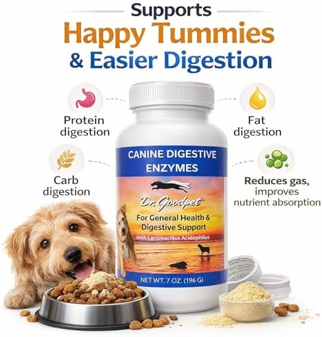 Digestive Enzymes + Probiotics for Dogs – Gut Health & Sensitive Stomach Support – Helps Relieve Gas, Bloating & Improve Digestion – Daily Digestive Aid Powder – 112 Servings – Dr. Goodpet
