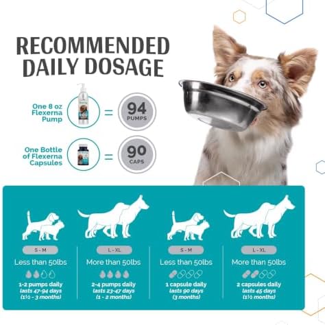 for Dogs - Vet-Formulated Joint Supplement with Green Lipped Mussel, Omega 3s & Hyaluronic Acid for Hip, Joint & Mobility Support - 90 Soft Gel Capsules