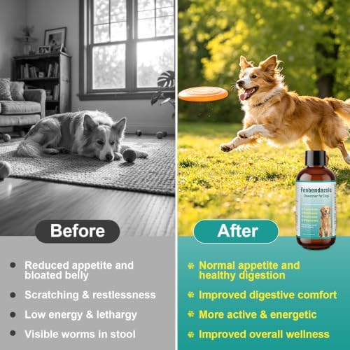 Dewormer for Dog, Fenbendazole Dog Dewormer Liquid, Broad Spectrum for All wormer, Tapeworms, Roundworms, Hookworms, Whipworms, 100ml