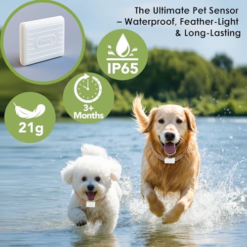 Medium Automatic Pet Door Collar, Included 2 Sensor Collar （M