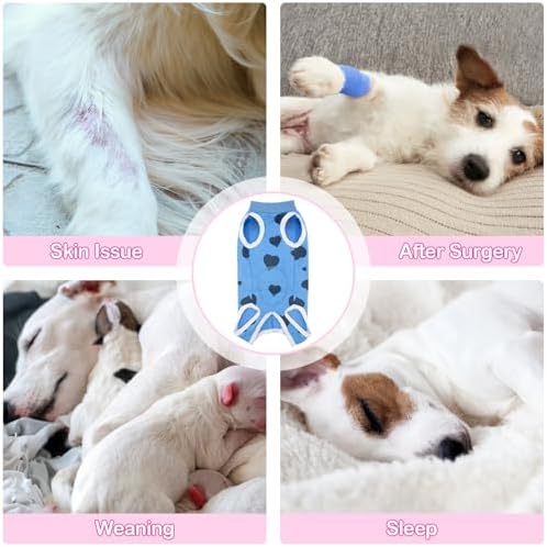 Recovery Suit for Dogs After Surgery Dog Onesie Female Spay Surgical