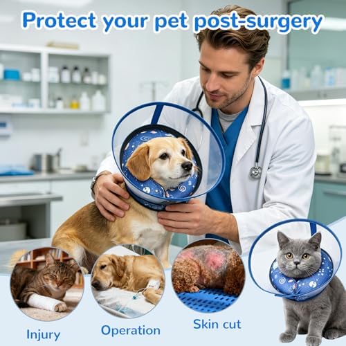 Inflatable Dog Cone Collar with Anti-Licking Clear Shield, for Dogs Cats