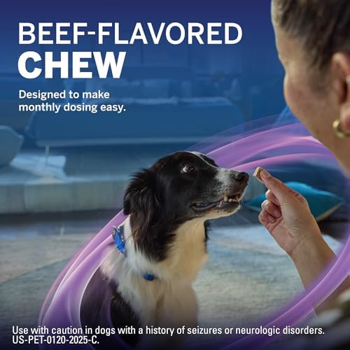 NexGard Plus (afoxolaner, moxidectin, and pyrantel) Flea and Tick Protection & Heartworm Preventive for Dogs Soft Beef Flavored Chewables, 4-8 lbs. (Orange) 1 Chew (1 Month Supply)