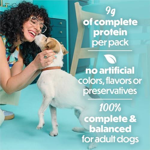 Beneful Purina IncrediBites Small Wet Dog Food in Gravy, Chicken, (12) 3 oz