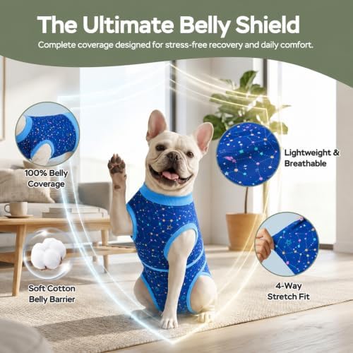 PetWarm Post-Spay Dog Suit, Dog Bodysuit for Spay Neuter, Galaxy, Blue, XS