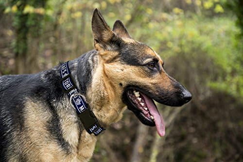 NHL Toronto Maple Leafs Collar for Dogs & Cats, Small. - Adjustable, Cute & Stylish! The Ultimate Hockey Fan Collar!