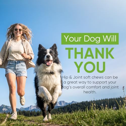 Hip Joint Supplement for Dogs 200 Count Chews Glucosamine Chondroitin MSM