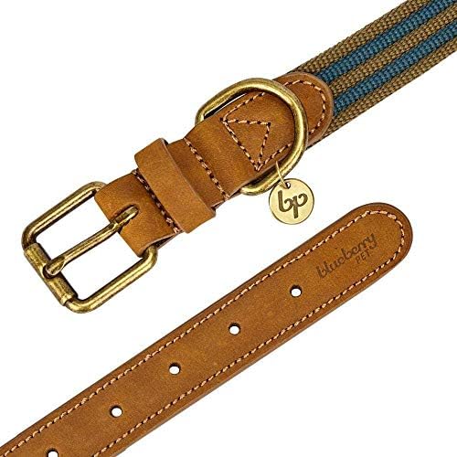 Blueberry Pet Soft & Comfy Genuine Full Grain Leather & Polyester Combo Adjustable Dog Collar - Classic Staple Striped in Navy and Olive, Small, Neck 12"-15"