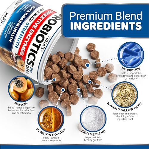 (2 Pack) Probiotics for Dogs - 340 Ct - Dog Probiotics Chews for Gut Health