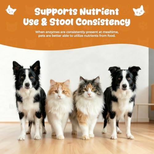 Pancreatic Enzymes for Dogs Drops, EPI Digestive Support with Pancreatin