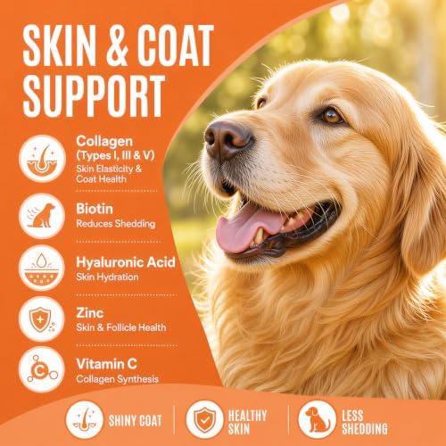 Premium 5-Type Grass-Fed Liquid Collagen for Dogs & Cats Supplement - 120ml