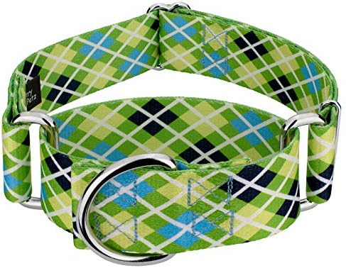 Country Brook Petz - HossFit Jr Wide Martingale Dog Collar - Plaid and Argyle Collection Featuring Charming Designs (Margarita Argyle, Large)