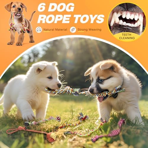 Puppy Chew Toys for small & Medium Dog, Cute Plush Dog Squeaky Toys for Puppies, Dog ChewToys with Rope Toys, Treat Ball for Teething, Interactive Dog Toys with Tough Chewers, Puppy Supplies - 23 Pack