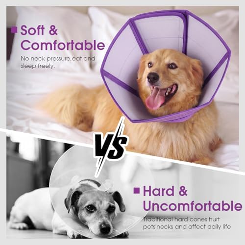 Allroaring Dog Recovery Cone Waterproof Plastic Elizabethan Collar Purple M