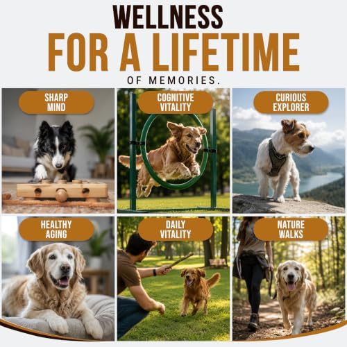 Turkey Tail Mushroom for Dogs - 250 Chews - Dog Lipoma Mushroom Supplement