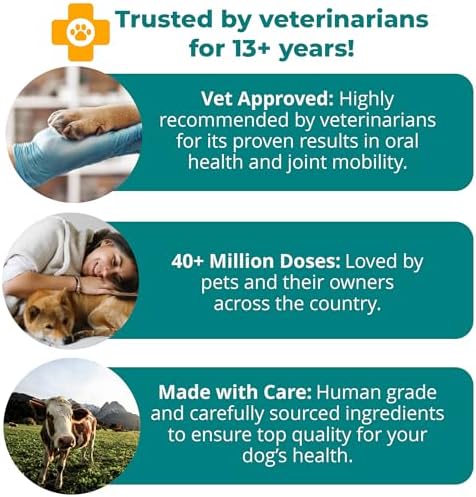 1-TDC Dual Action Joint & Gum Support Soft Gels for Dogs & Cats - 120 ct