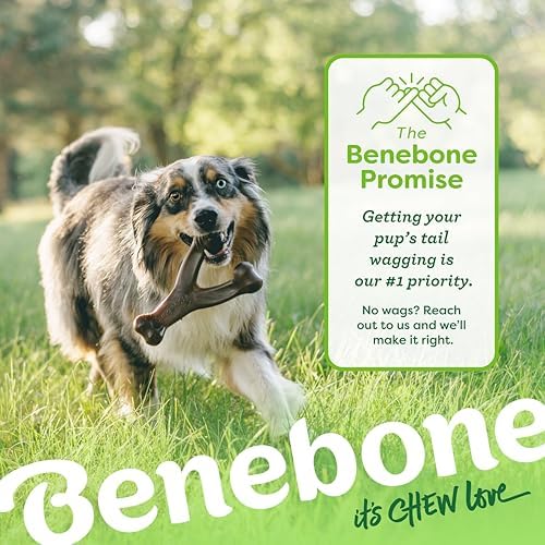 Benebone Tiny 2-Pack Dog Chew Toys, Real Bacon