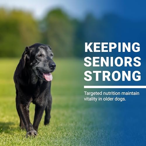 VPS SynovialMax Hip & Joint Soft Chews for Dogs - 240 count