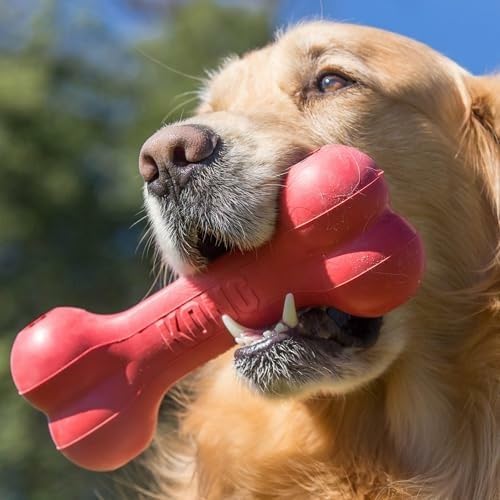 KONG Goodie Bone, Treat-Dispensing Toy, Red, for Small Dogs (Pack of 2)