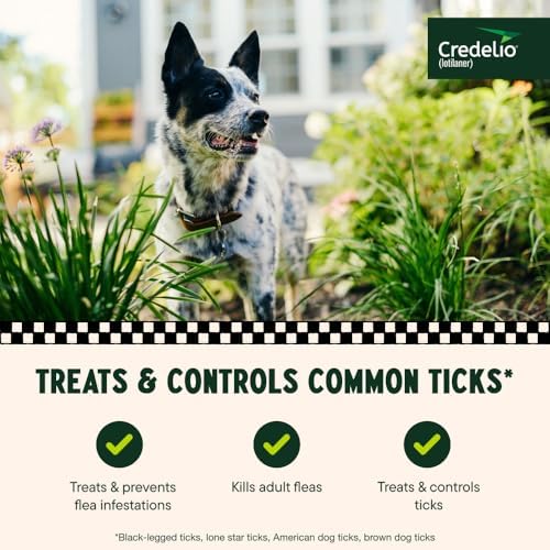 Credelio (lotilaner) Tick & Flea Treatment for Dogs 25.1-50 lbs., 1ct