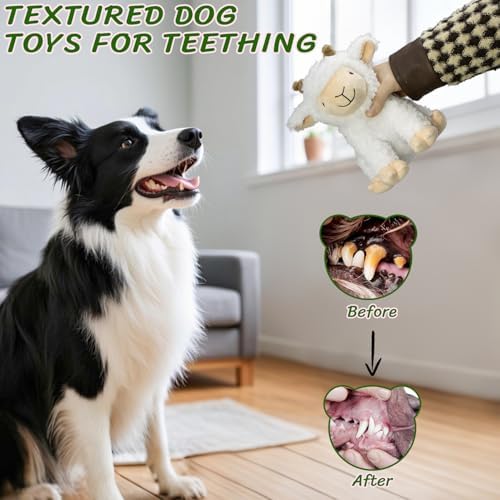 Squeaky Stuffed Sheep Dog Toys, Chew for Large Medium Small Breeds