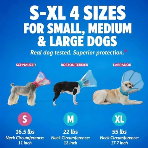 Hard Plastic Dog Surgery Recovery Cone Collar with Soft Neck Pad, Rosered M
