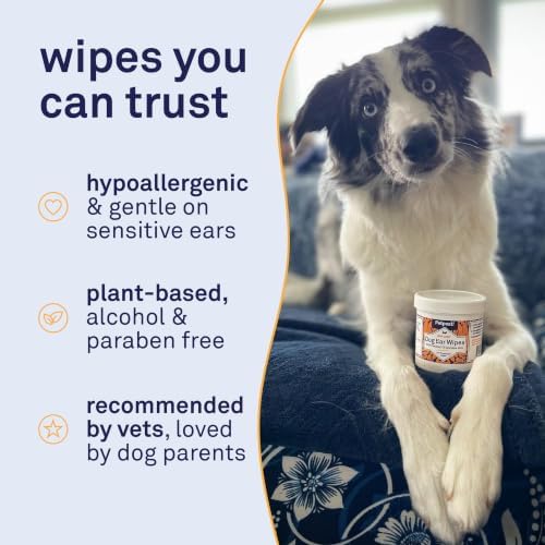 Petpost | Dog Ear Cleaner Wipes - Ultra Soft Cotton Pads in Coconut Oil Aloe Solution - Dog Ear Rinse & Cleanser 100 ct.