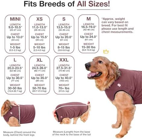 BellyGuard Dog Surgery Recovery Suit, Male Female After Spay Neuter Onesie