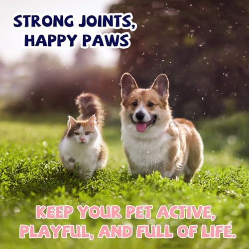 CFILIHTC Joint Drops for Dogs with Glucosamine, Chondroitin, MSM & Omega-3 – Pets Liquid Joint Supplement for Dogs & Cats – Hip, Joint, Mobility, Skin & Coat Support – Chicken Flavor 2 Fl Oz