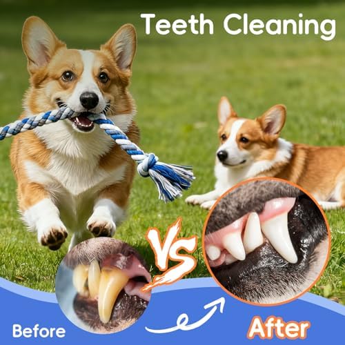 wodoca Dog Rope Toys 4 Pack, Puppy Teething Cotton Knot Chew Rope for Small Medium Dogs, Interactive Tug of War Dog Toys for Boredom, Teeth Cleaning