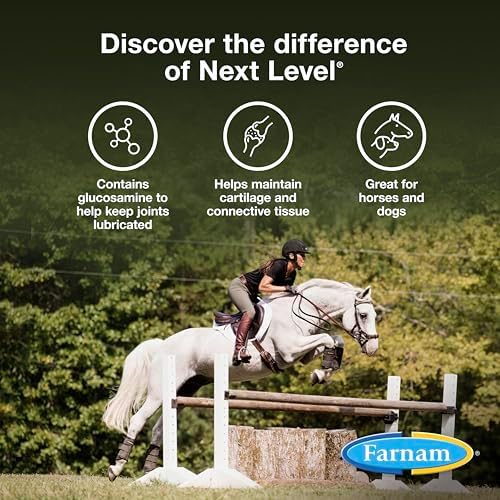 Farnam Next Level Joint Supplement for Horses & Dogs Glucosamine MSM 128 oz